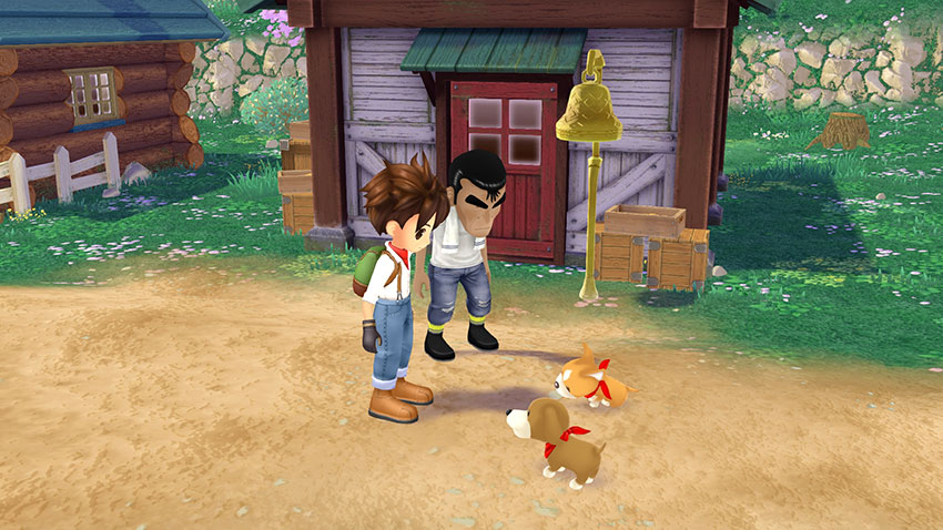 STORY OF SEASONS: A Wonderful Life